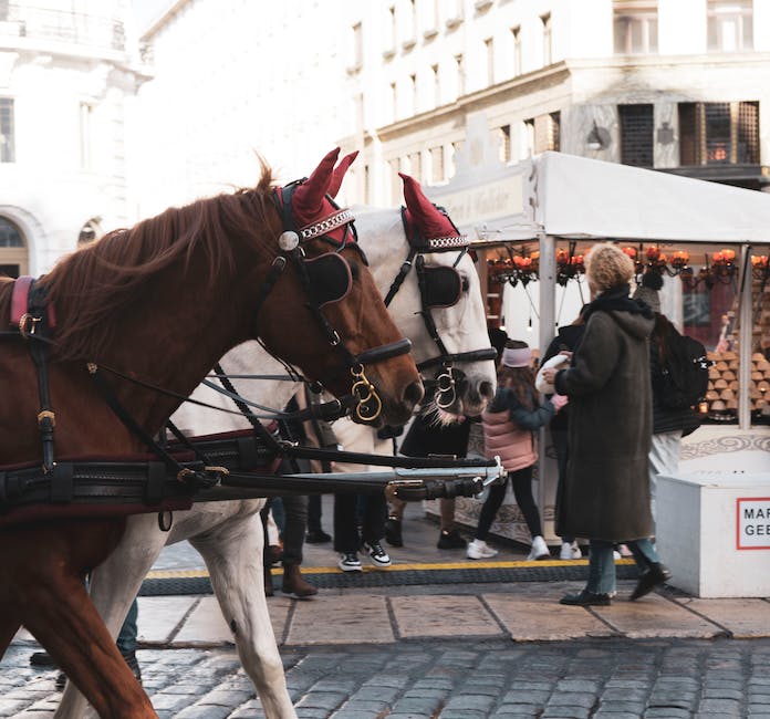 The Sacher Hotel: A Taste of Viennese Elegance and History