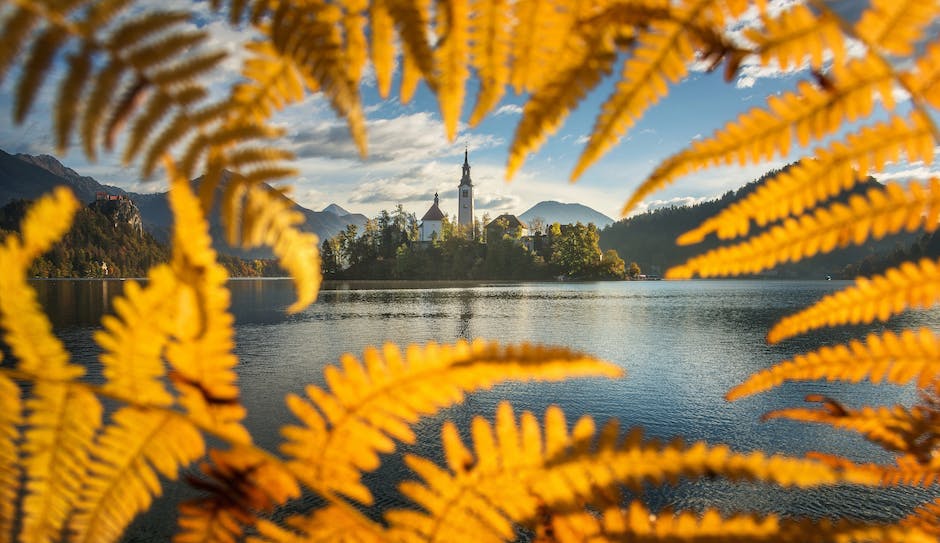 Beyond Lake Bled: Discovering Slovenia’s Exquisite Alpine Resorts