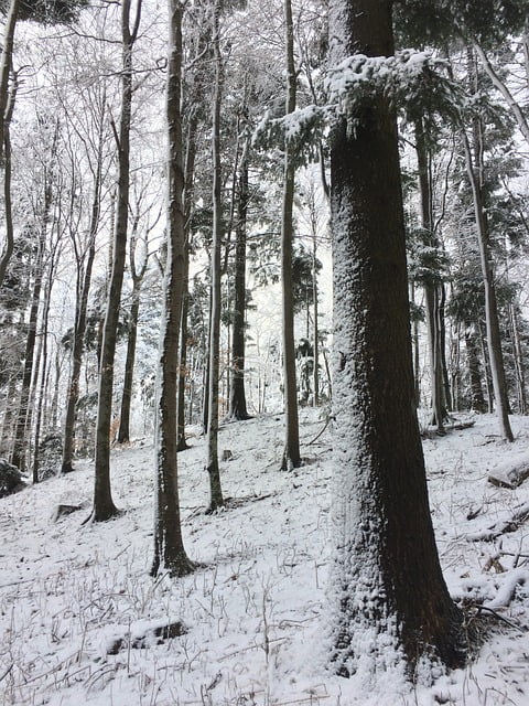 Medvednica: Nature’s Playground Above Zagreb