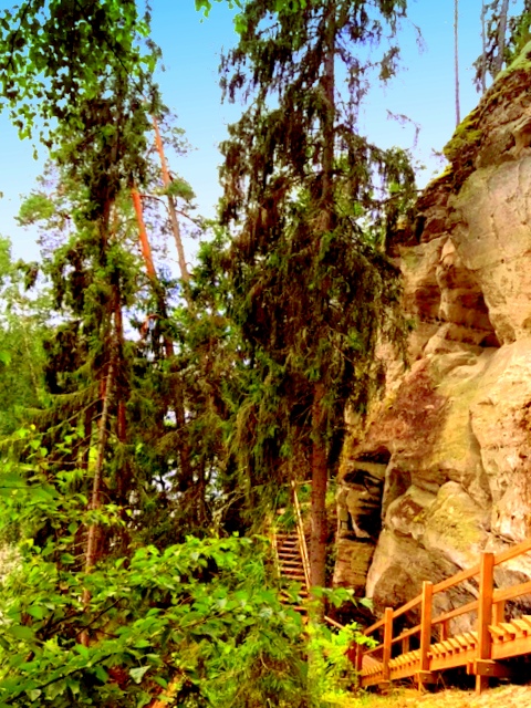 The Lush Forests and Tranquil Meadows of Gauja National Park