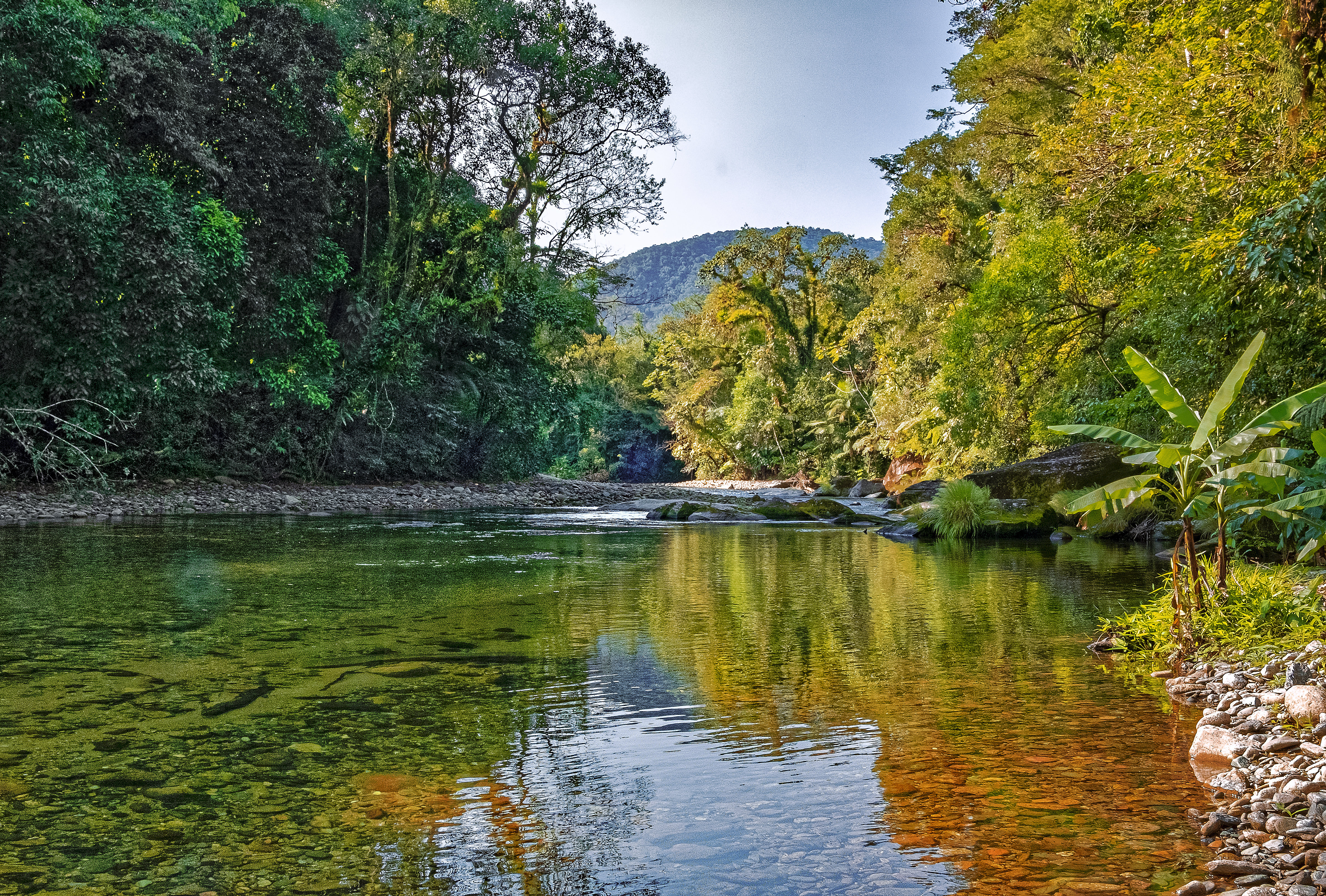 The Unique Biodiversity of Bulgaria: A Treasure Worth Protecting