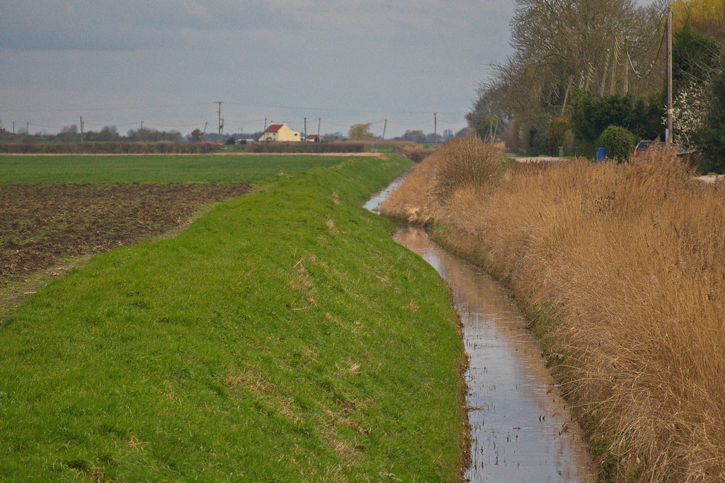 - Mastering the Elements: The Ingenious Design of Dikes and Delta Works