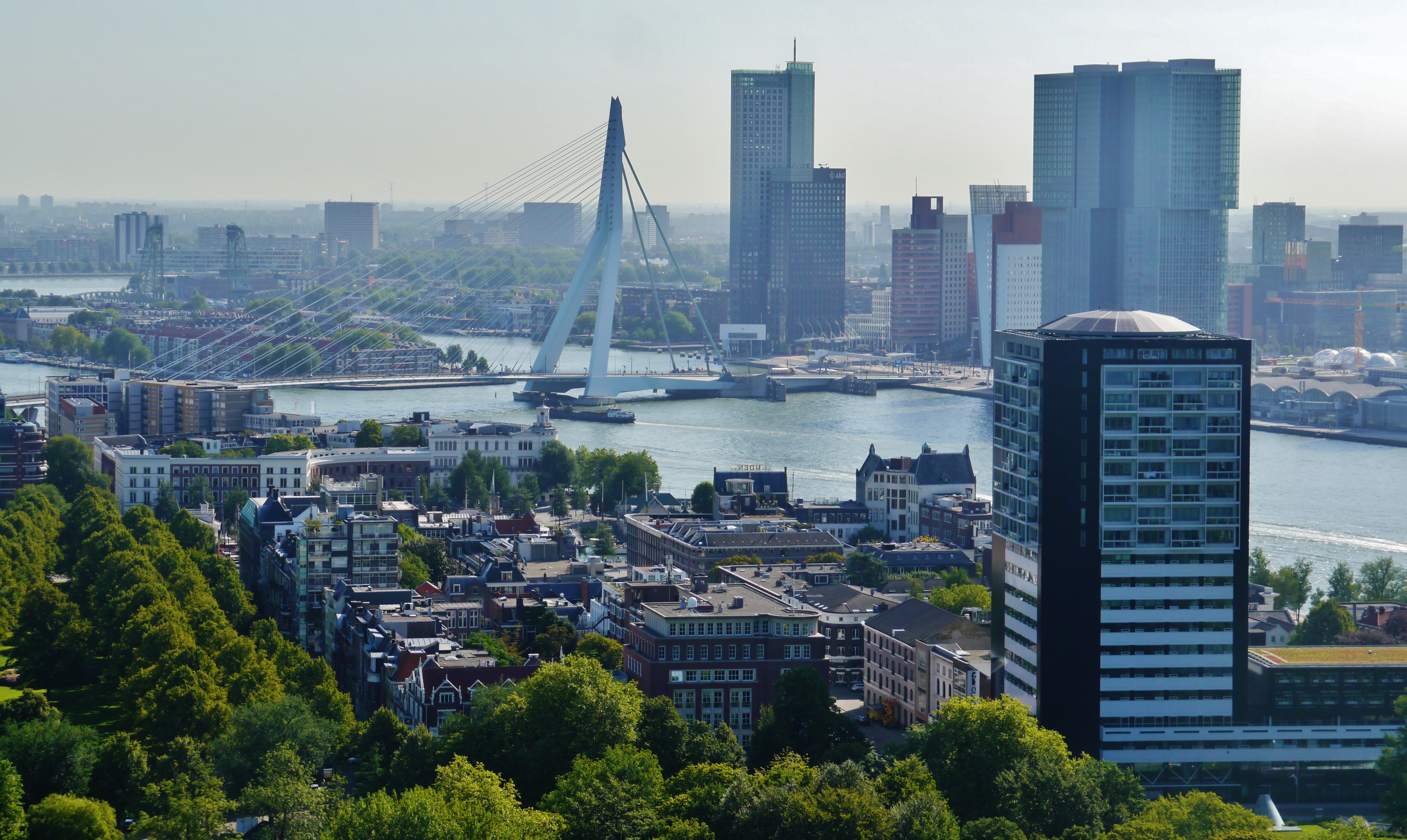 Dazzling Skyline: Rotterdam's Iconic Architecture Shaping the Cityscape