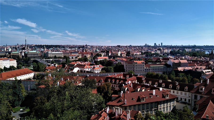 Liquid Gold: Unearthing Czechia's ⁢Rich Brewing Heritage