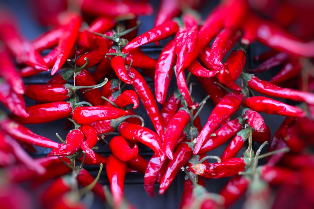 The Art of Selecting and Storing Hungarian Paprika: Insights and Recommendations