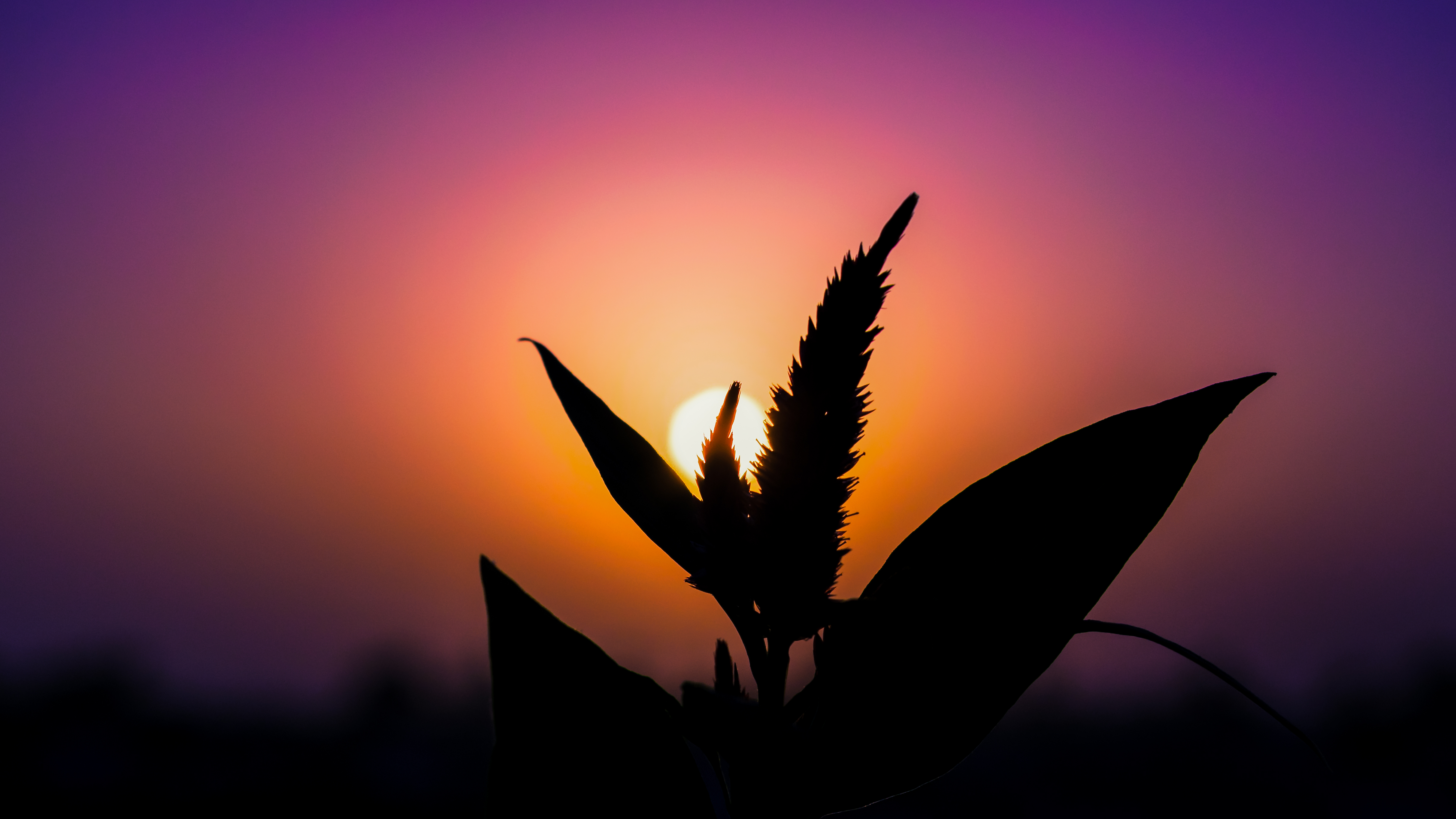 Sunset Sailing in Cyprus: Spectacular Views and Tranquility Await