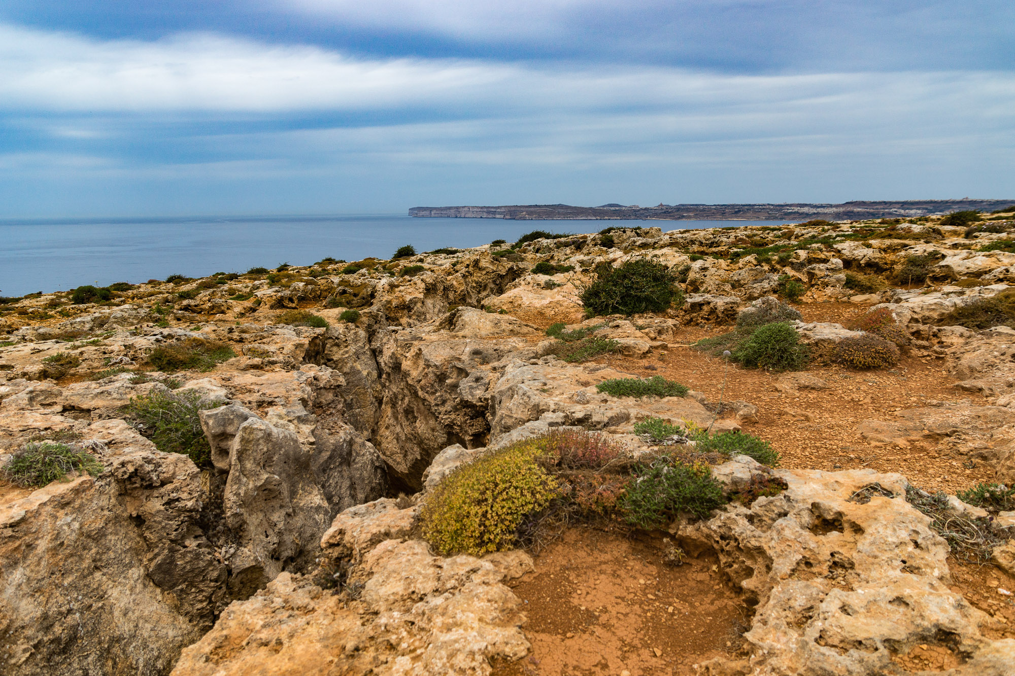 2. Diving into Crystal Clear Waters: Exploring the Vibrant Marine Life Along Malta's Coastline