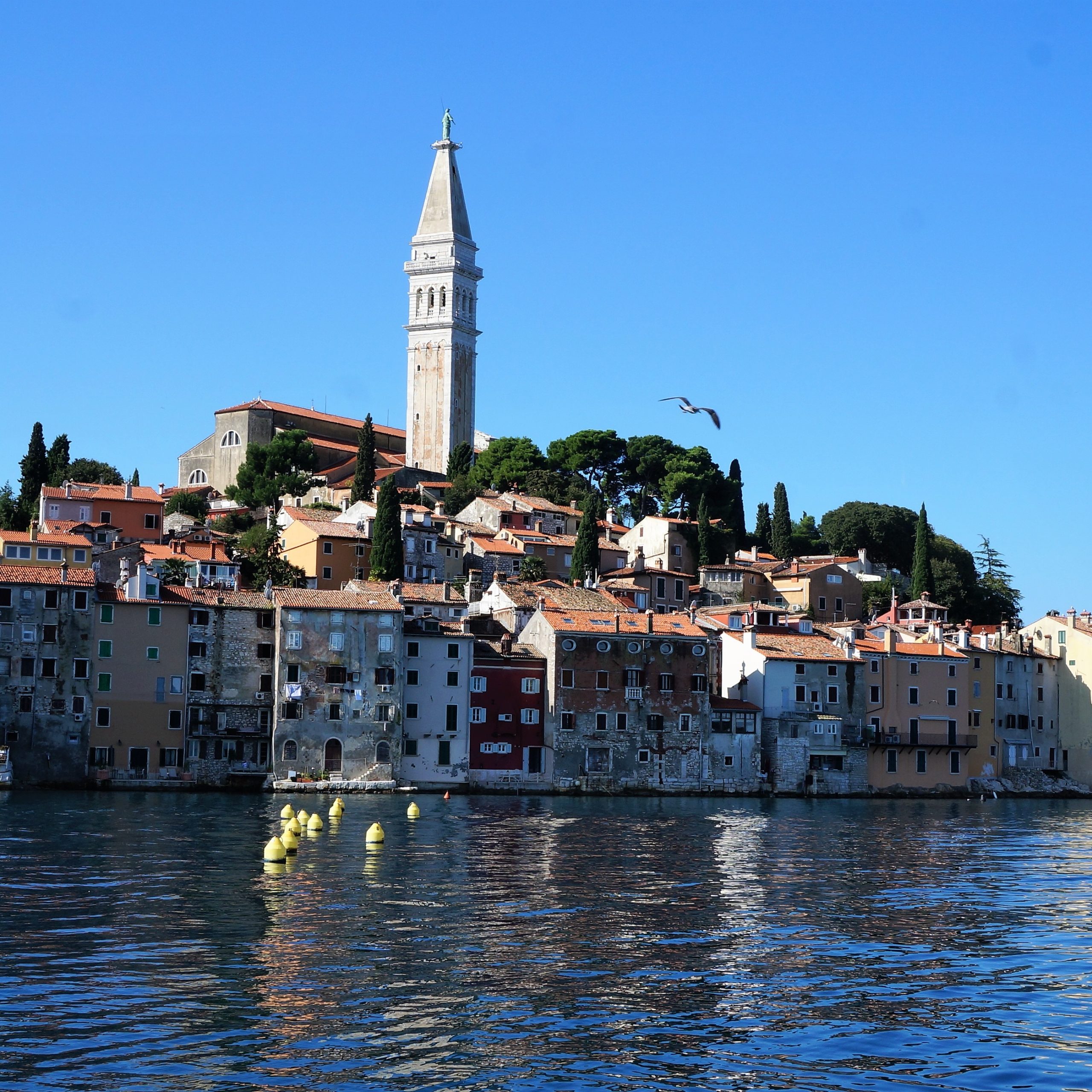 Rovinj: A Mediterranean Gem in Istria