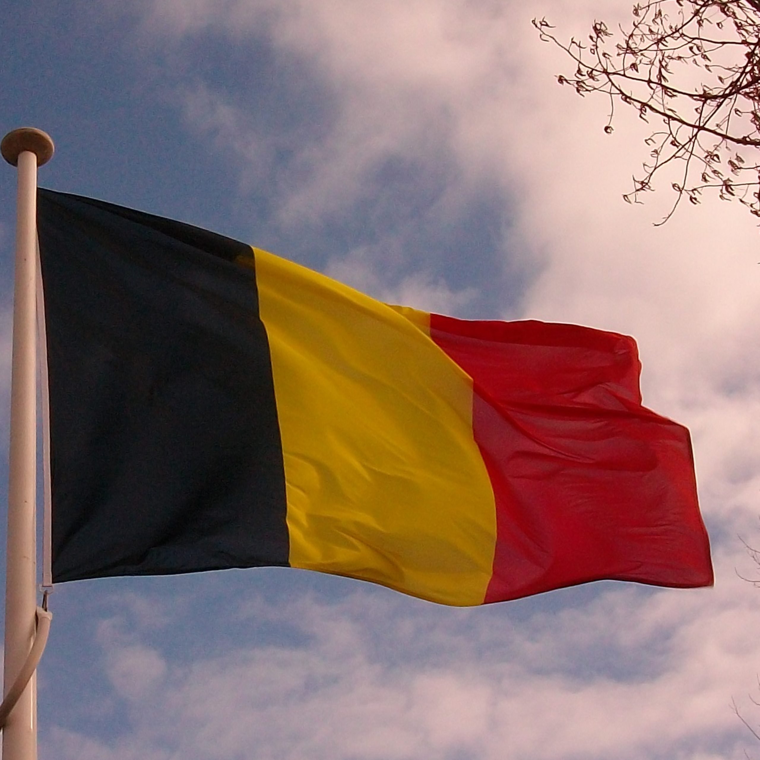 Battlefields and Memorials: Commemorating Belgium’s Contributions and Losses in Wars