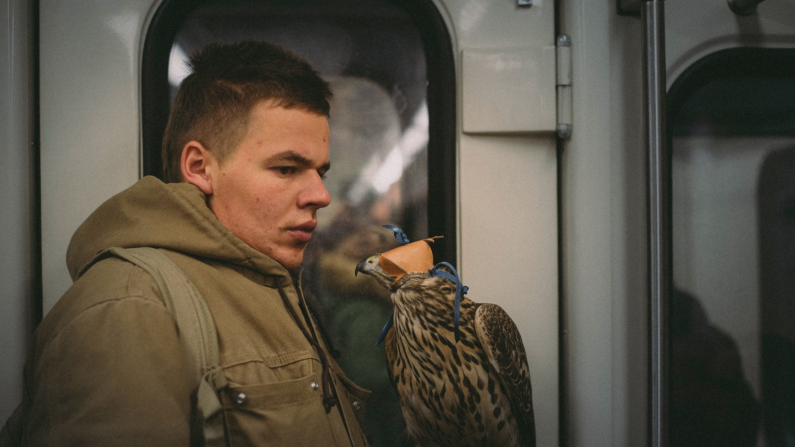 The Maltese Falcon: Unveiling the Island’s Maritime Heritage