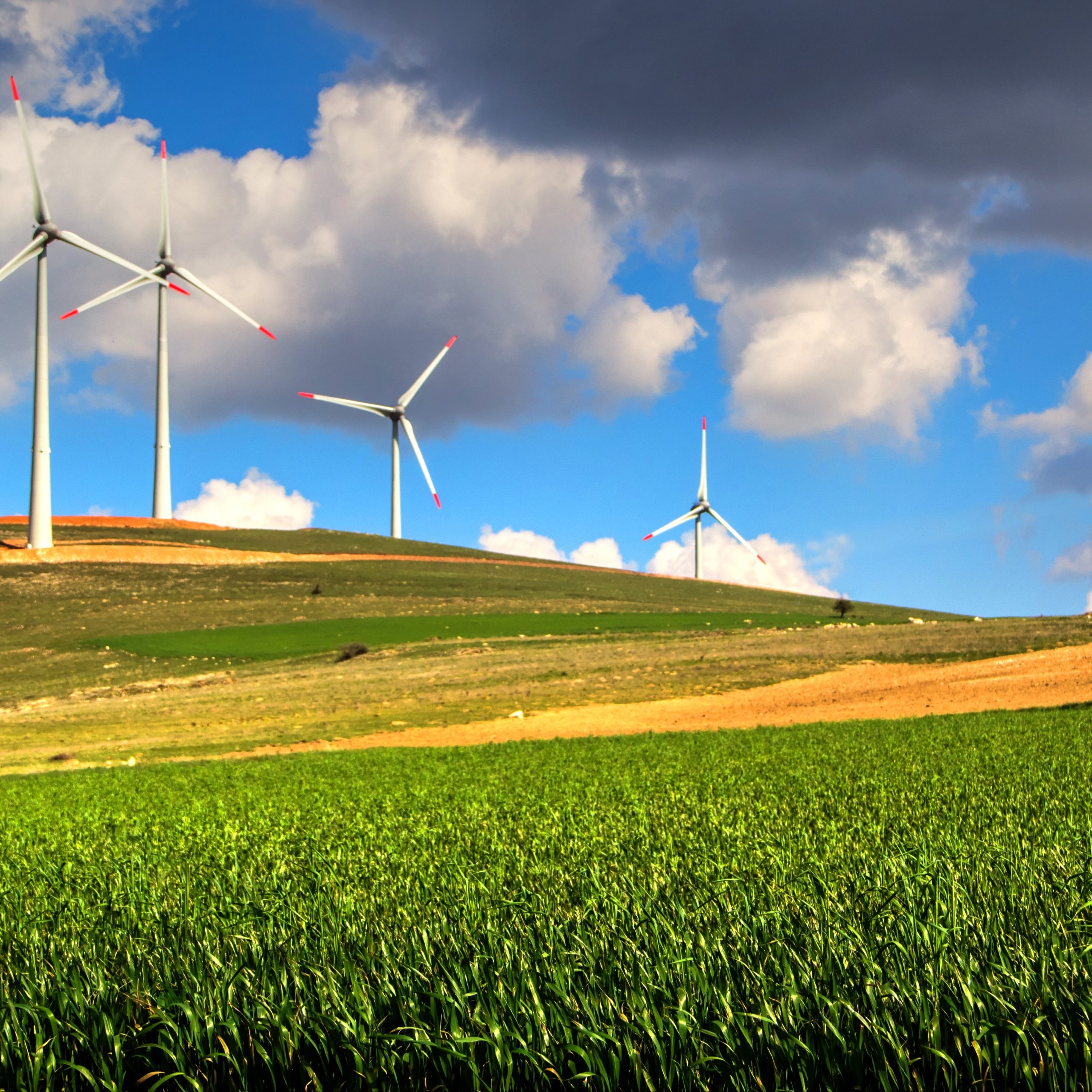 Windmills and Water: Managing the Dutch Landscape