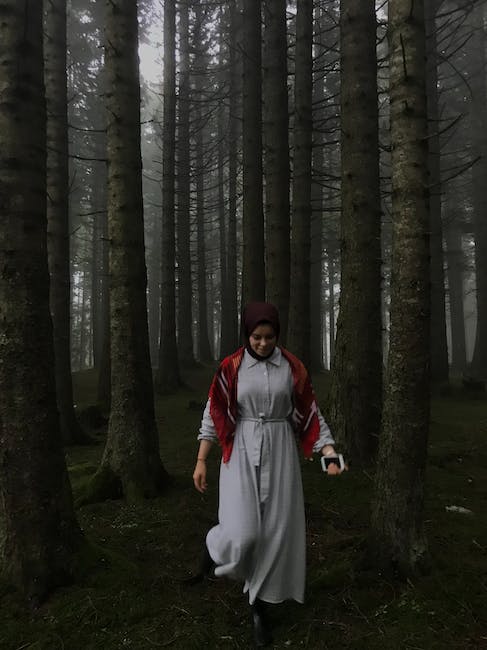 Unveiling Poland’s Natural Wonders: Białowieża Forest and Tatra Mountains