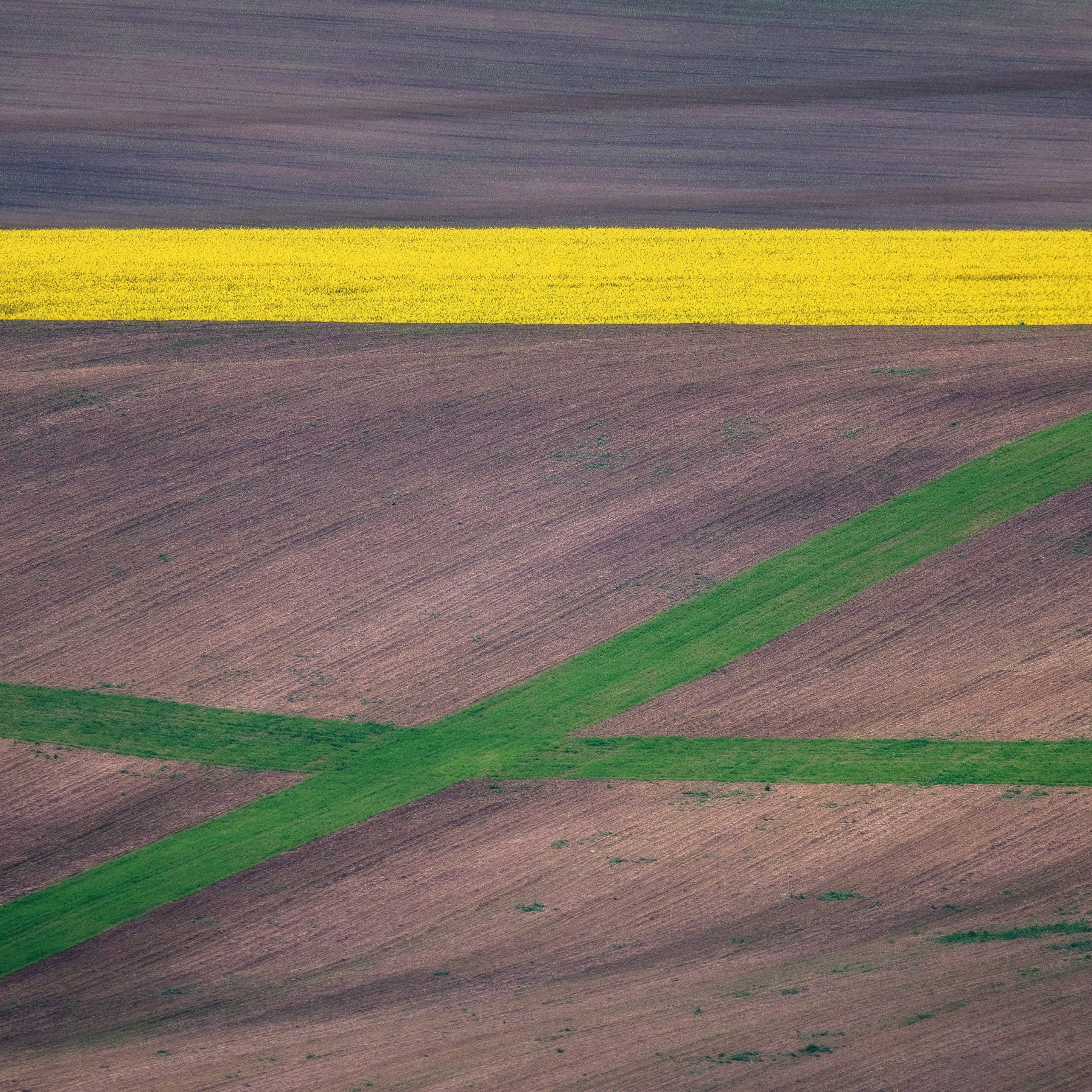 Moravian Wine Country: Uncovering Czechia’s Vineyard Treasures