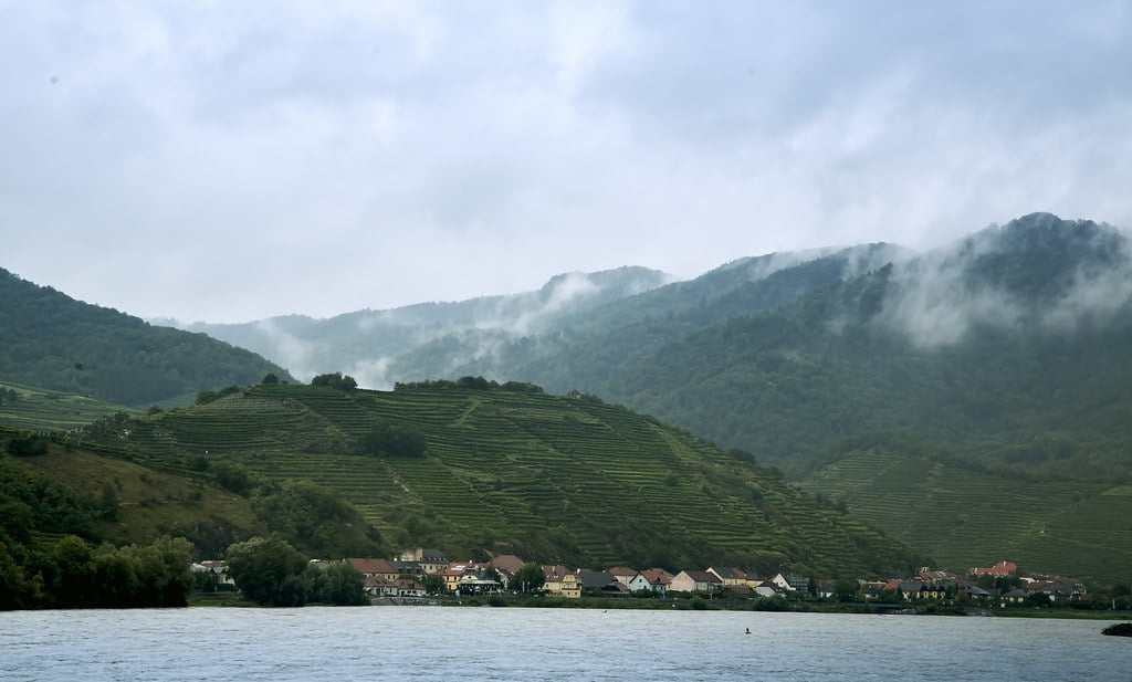 Wine and Vineyards: Exploring the Wachau Valley’s Viticultural Traditions