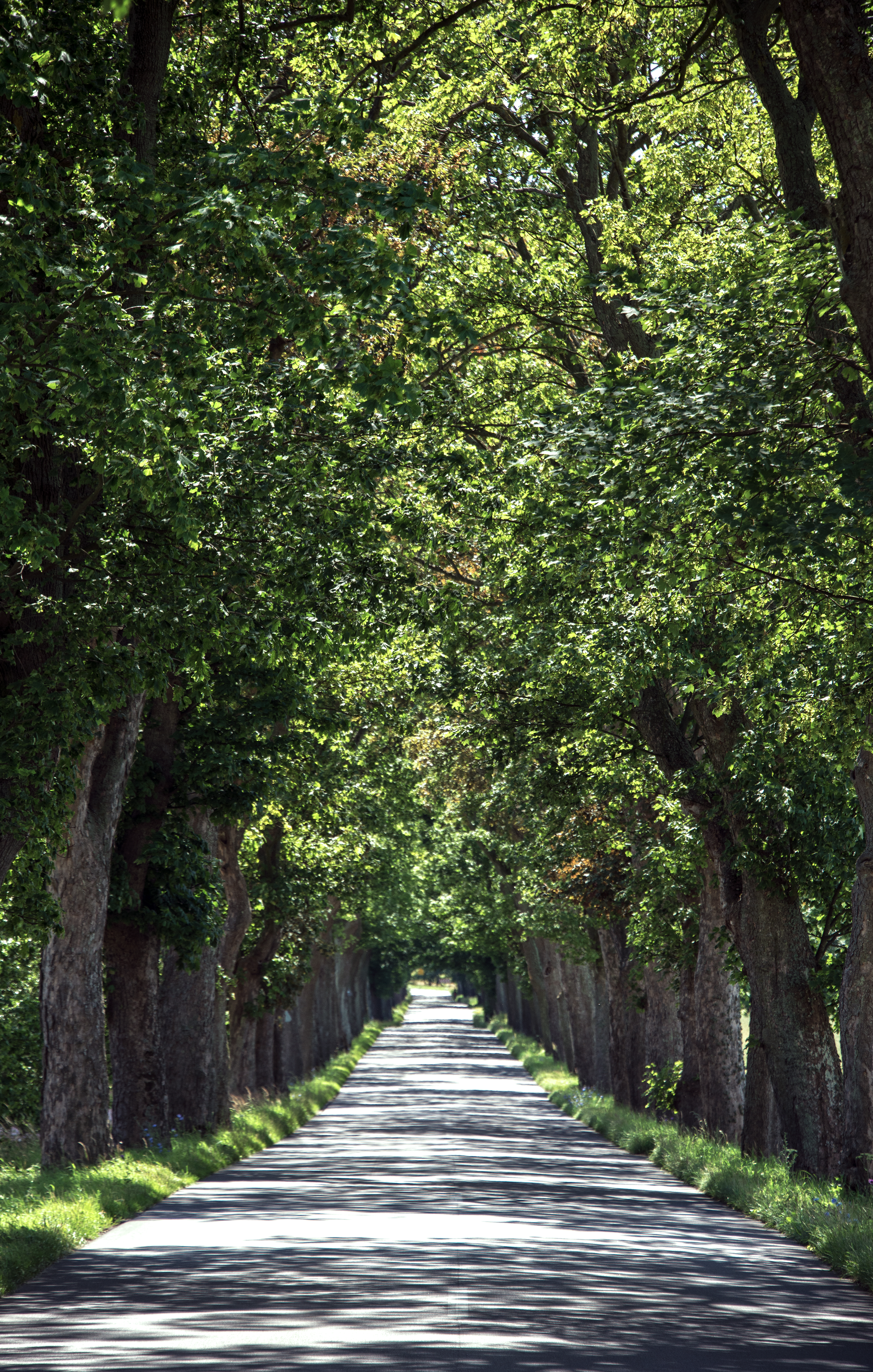 Off-the-Beaten-Path Natural Wonders: Discovering Poland's Secret Landscapes