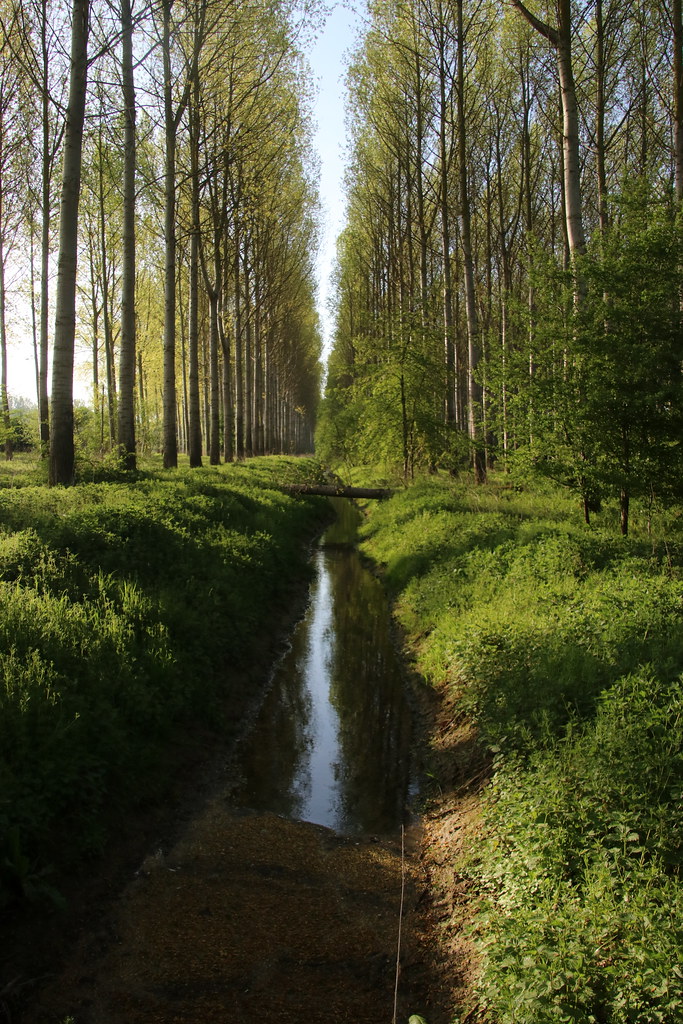 Honoring Sacrifice: Exploring Belgium's Historical Battlefields and Memorials