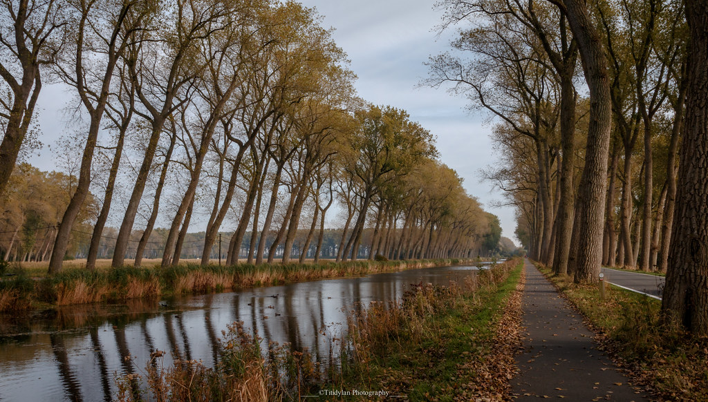 A Deep Dive into the Dutch Canal Network: Paving the Way for Sustainable and Efficient Travel