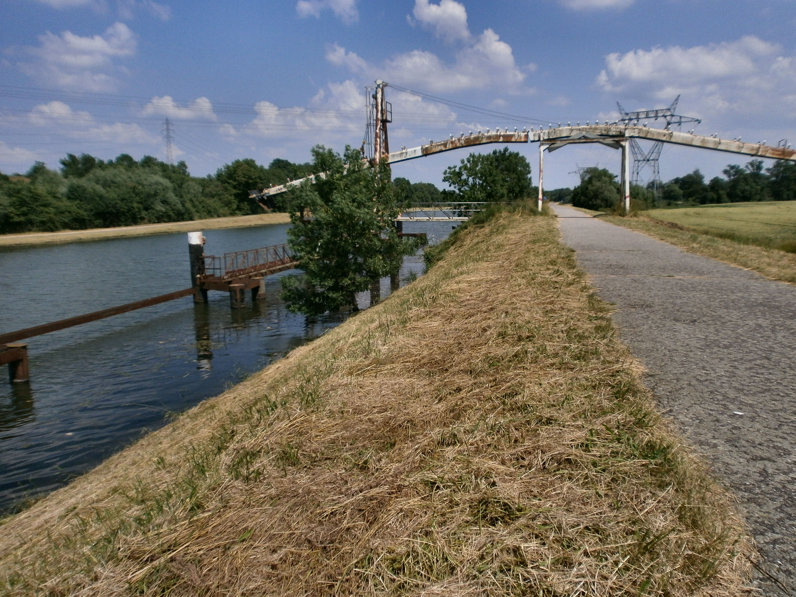 Indulging in Delights: Recommending Delectable Culinary Experiences Along the Moselle Cycle Route