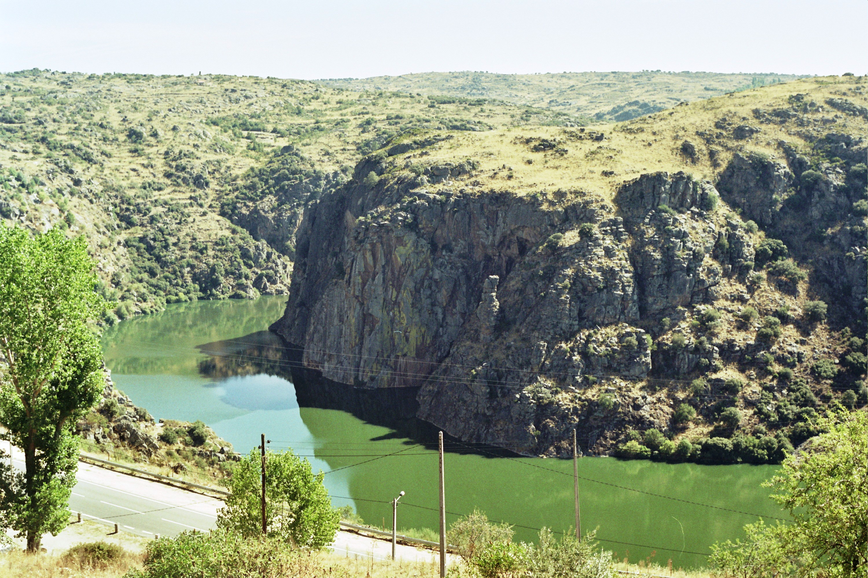 Unveiling the Secrets of Portugal's Douro International Park: A Home to Rare and Endangered Bird Species