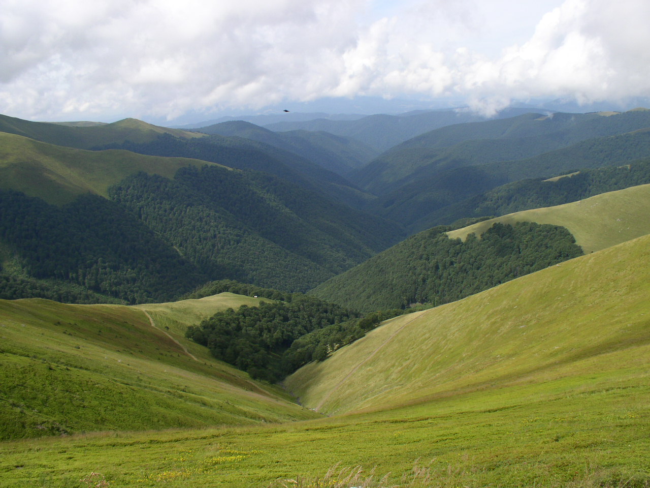 Majestic Peaks: Exploring the Pristine Wilderness of the Carpathian Mountains