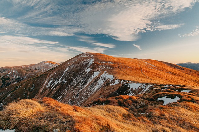 Hidden Treasures: Unveiling the Ecological Wonders and Animal Abundance in the Carpathians