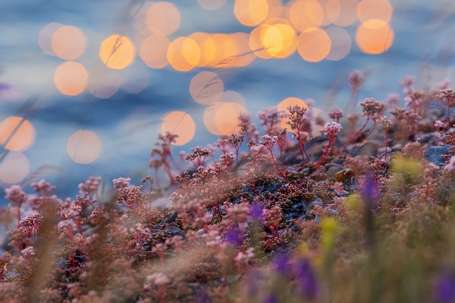 The Serene Beauty of Estonia's Unspoiled Archipelago