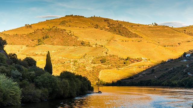 Immerse Yourself in Douro's Wilderness: Unforgettable Experiences and Must-Visit Spots Await