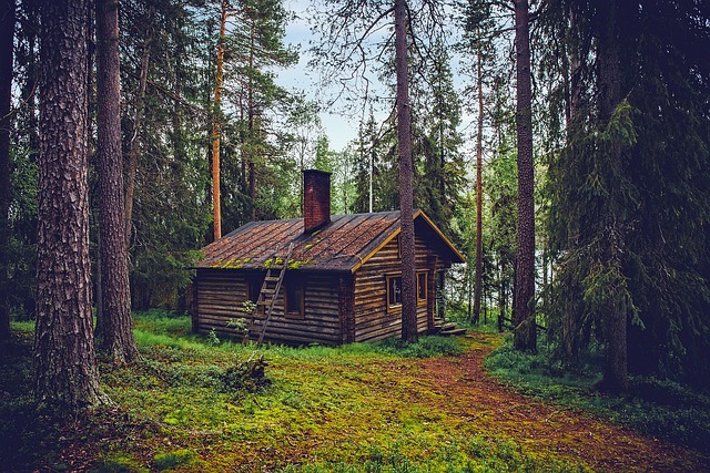 Finding Joy in Nature: The Role of Finland's Breathtaking Landscapes in Promoting Well-being