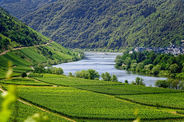 Exploring the Picturesque Moselle Valley: A Cyclist's Paradise