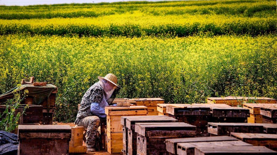 2. From Beehives to Intricate Patterns: A Glimpse into the Traditional Honey and Lace Techniques