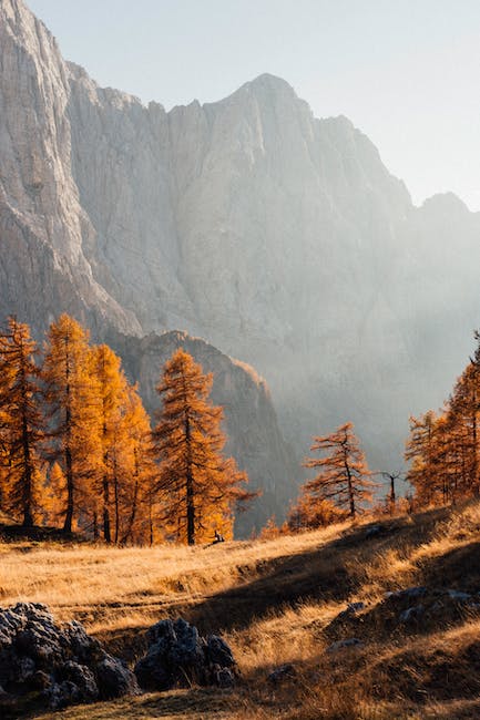 Rejuvenate Your Mind and Body at Slovenia's Healing Thermal Springs