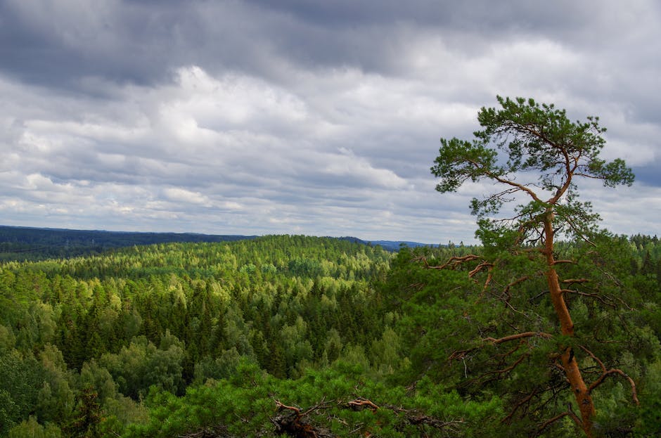 III. Lifelong Inspiration: How Sibelius' Masterpieces Influence Heavy Metal in Finland