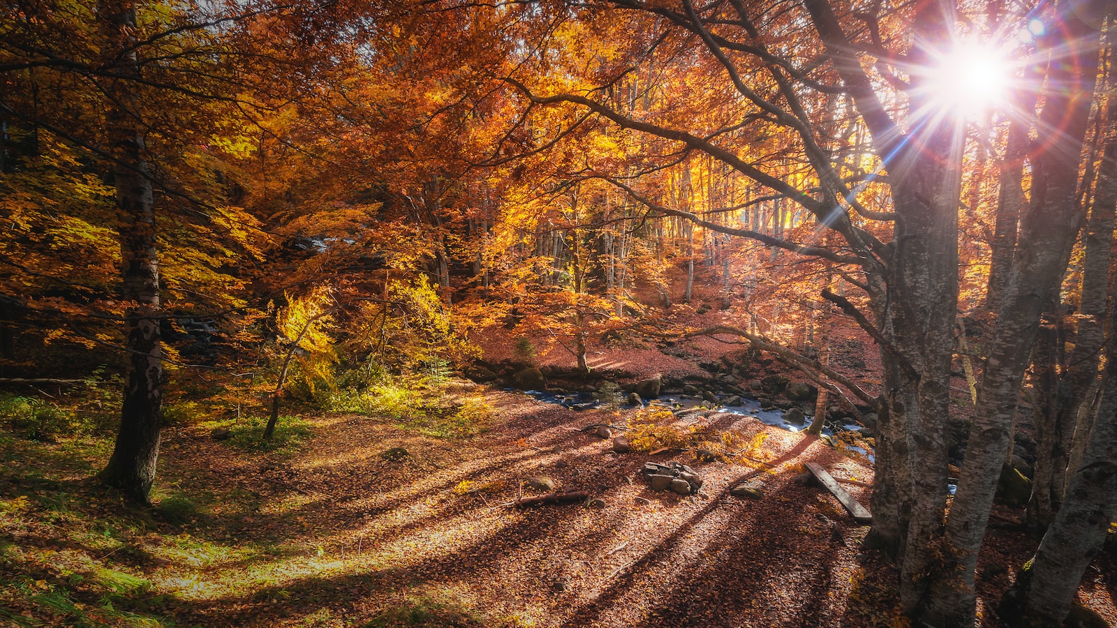 Immersing in Nature's Awe: Unveiling Bulgaria's Breathtaking Natural Wonders and Protected Areas