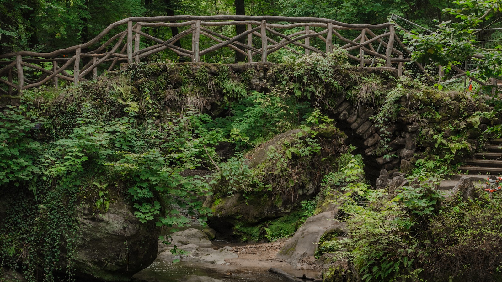 Experience the natural beauty of Luxembourg's Müllerthal region