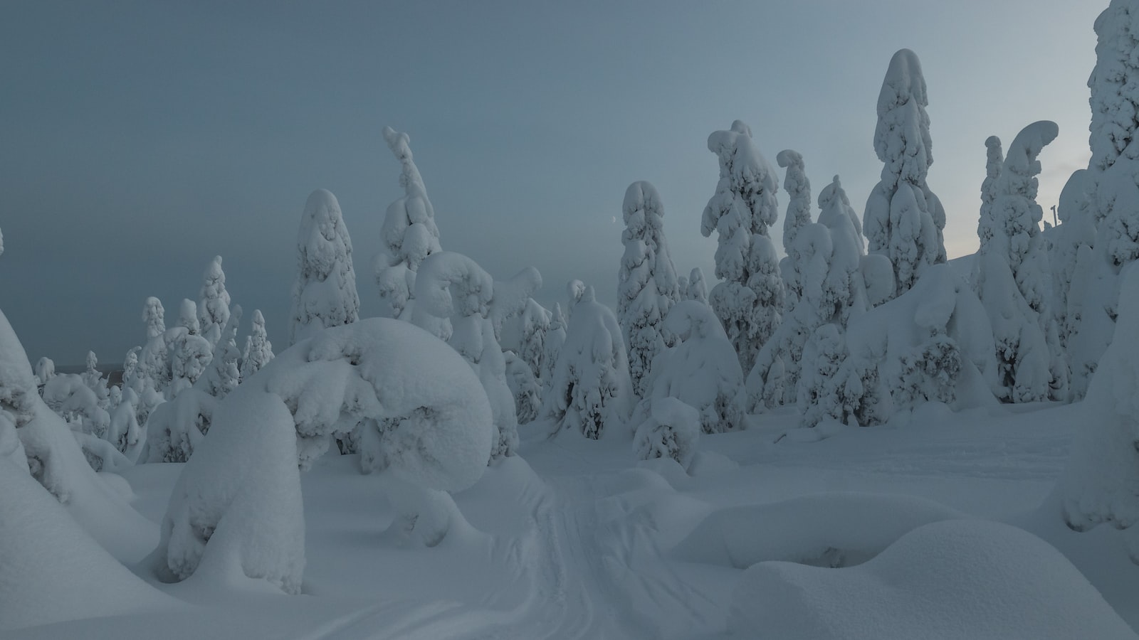 The Magical Appeal of Lapland: A Winter Paradise for Adventurers and Nature Lovers