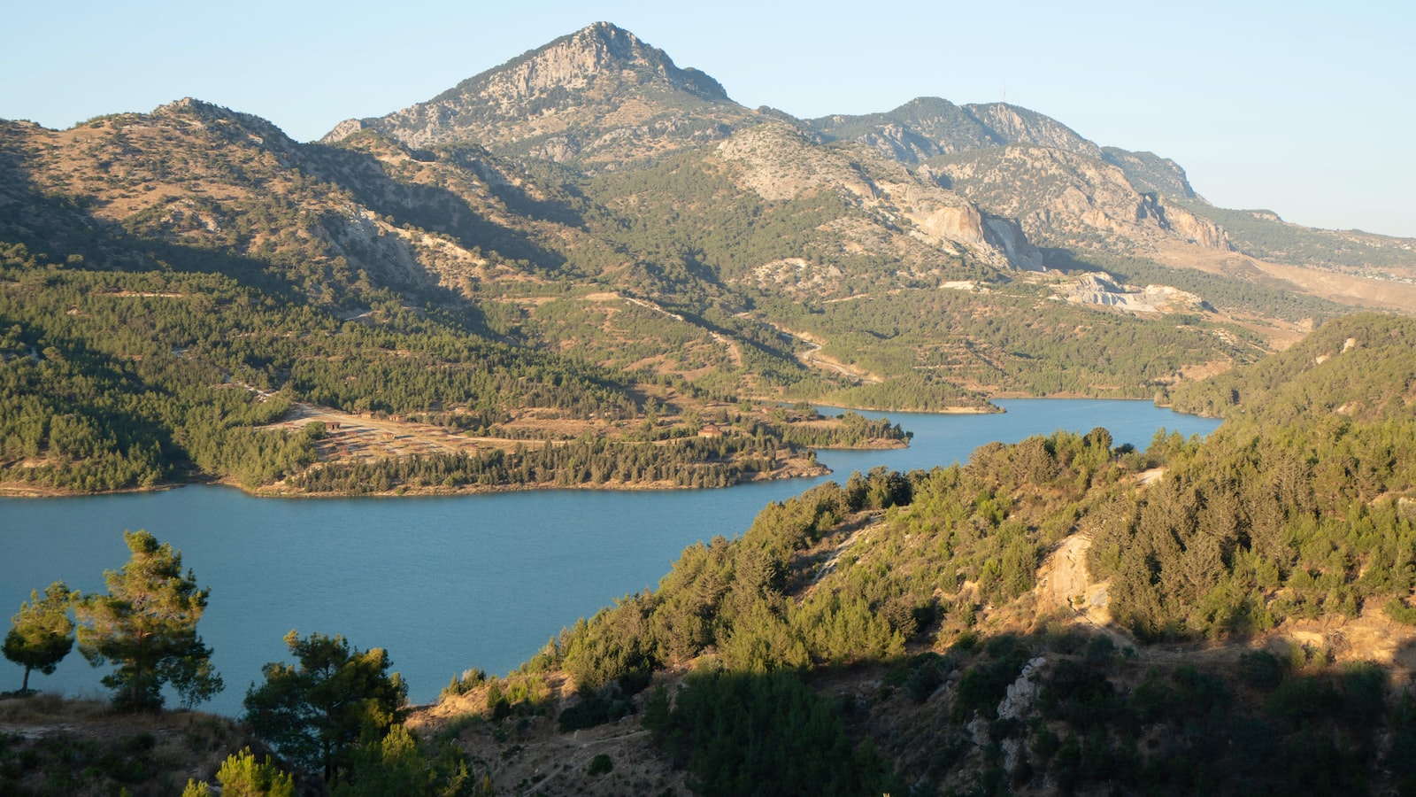 Exploring the Magnificent Cypriot Countryside: A Horseback Rider's Dream