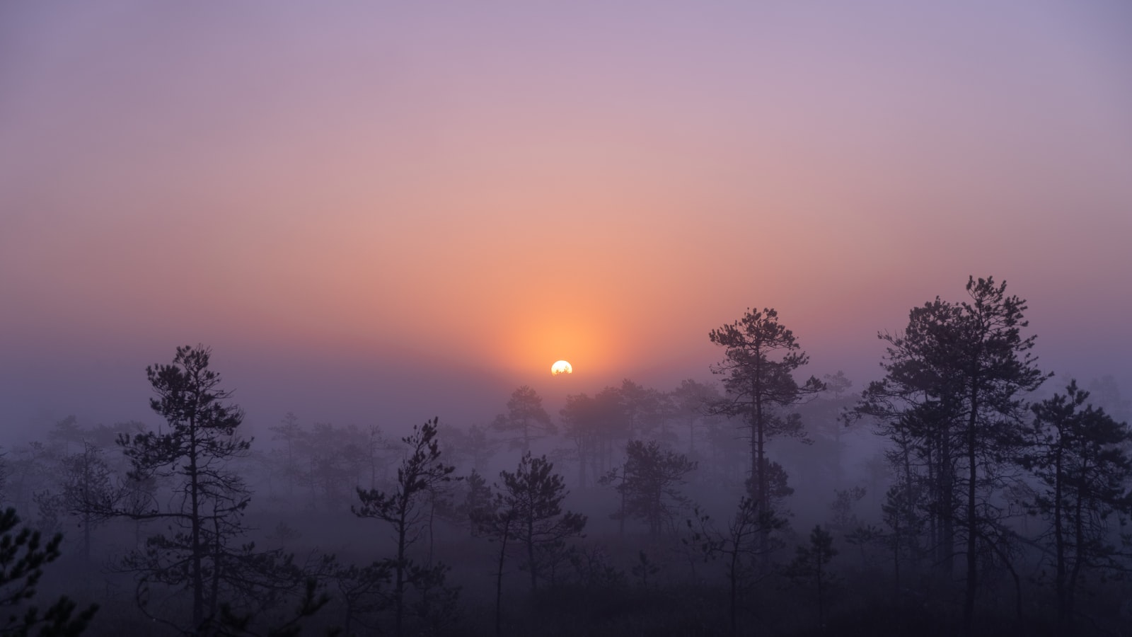 A Haven of Tranquility: Experiencing the Peaceful Atmosphere of Estonia's Holiest Places