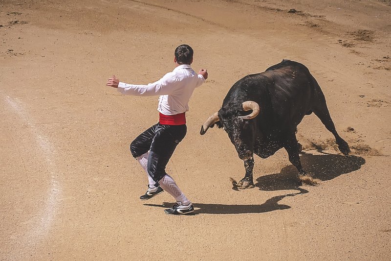 A Bullfighting Tradition: Controversial and Captivating Spain