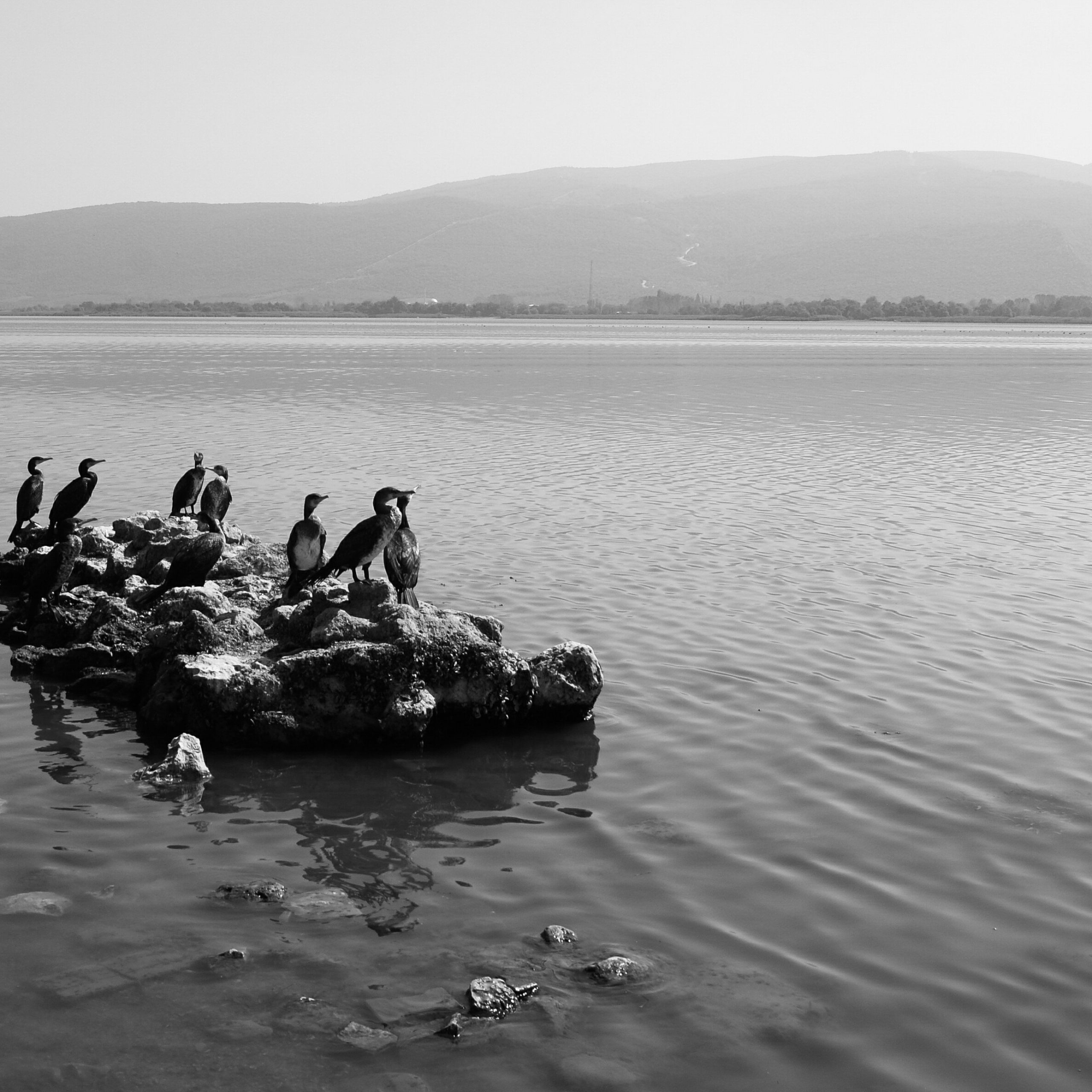 Islands of Gods and Myths: A Journey through the Aegean