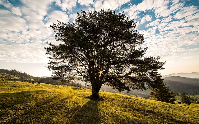 Unraveling Romania’s Mythical Legends and Folklore