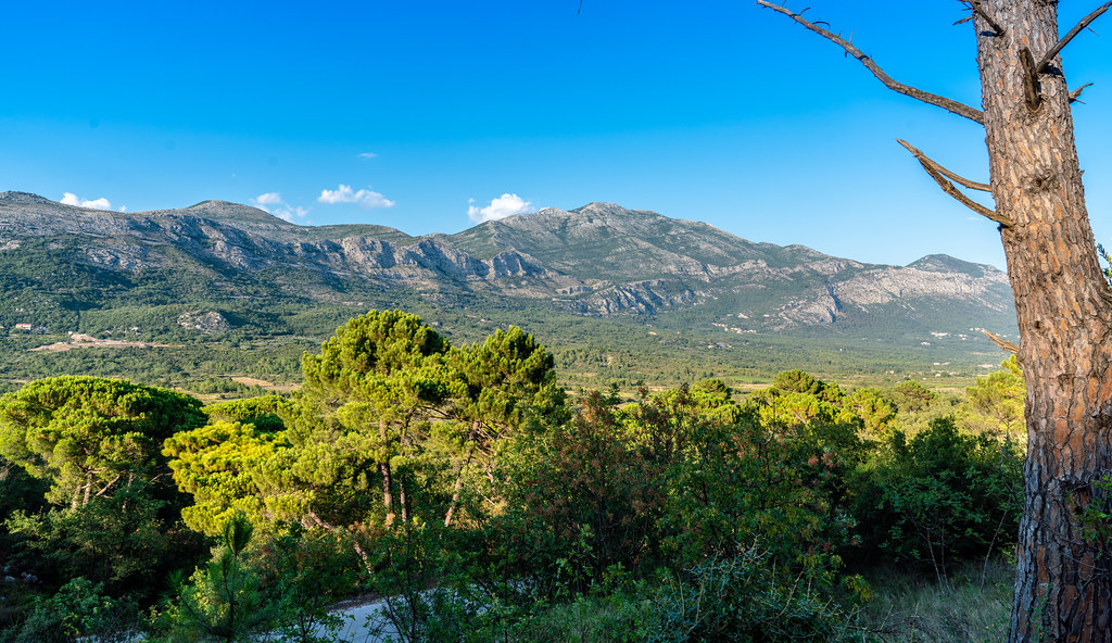 Konavle: Endless Vistas and the Eternal Spirit of Croatia