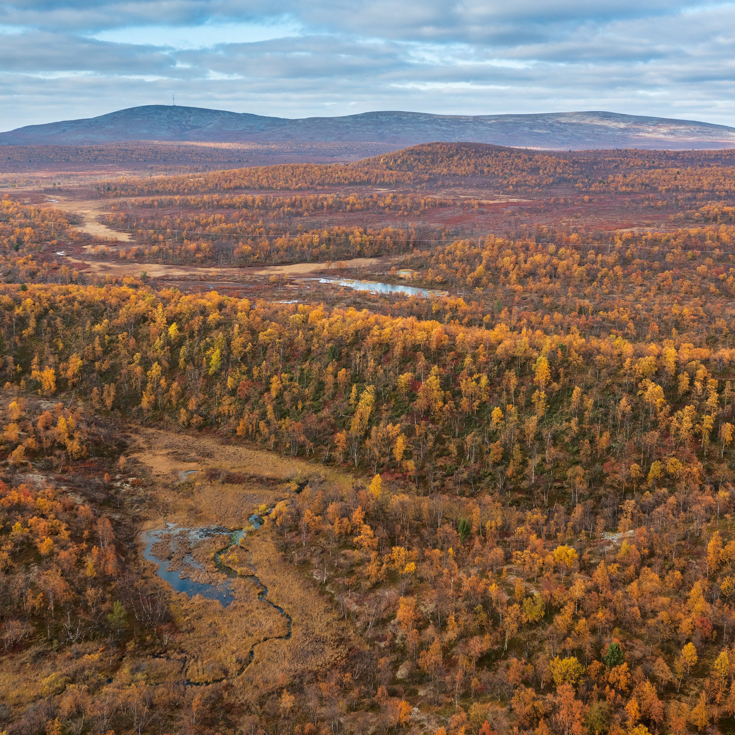 Mastering the Art of Silence: Embracing Finland’s Tranquil Wilderness