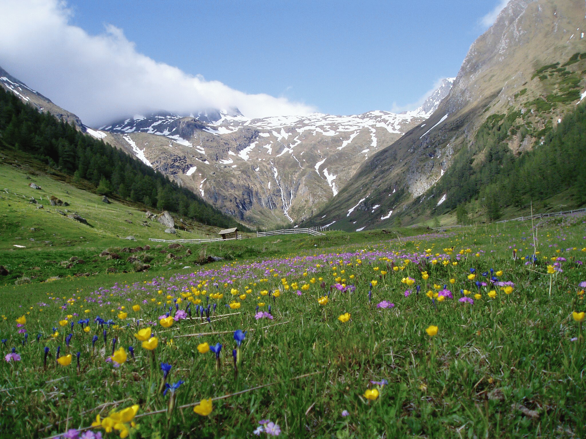 Unveiling the Hidden Gems: Exploring Lesser-Known Landscapes of Austria's Countryside