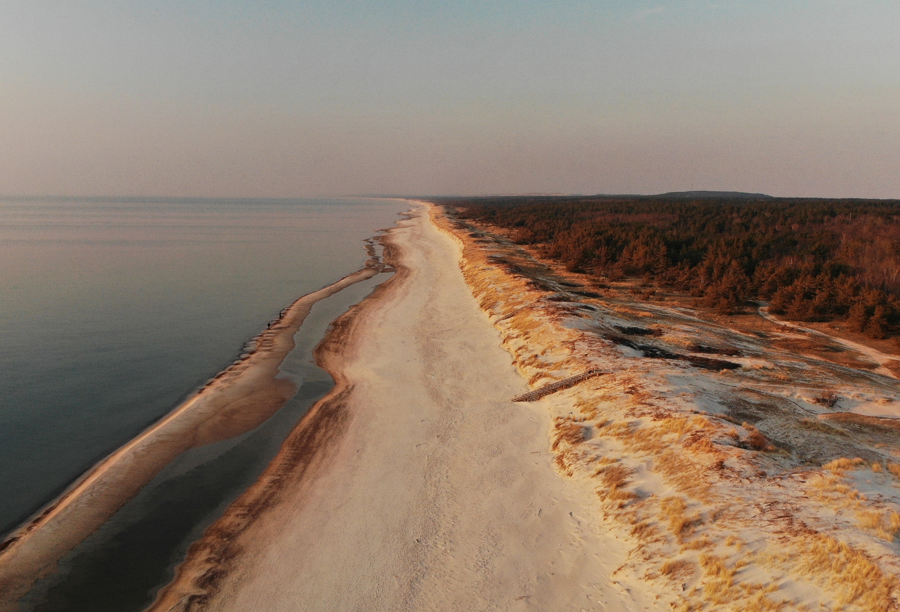 Exploring the Rich Biodiversity of the Curonian Spit