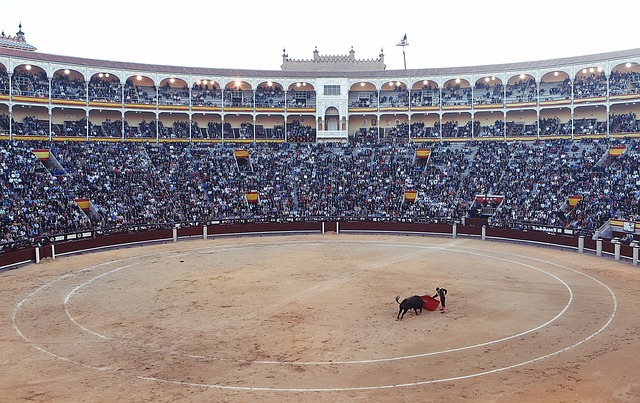 The Artistry and Spectacle: An In-depth Look at the Bullfighting Experience