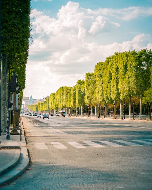 - Beyond Fashion and Entertainment: Hidden Gems and Local Recommendations to Discover on the Champs-Élysées