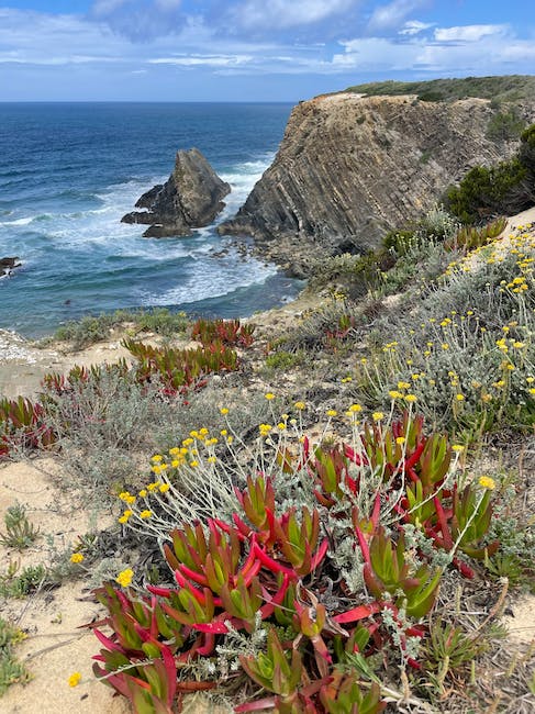 Unwinding in Nature's Embrace: Tranquil Retreats and Outdoor Adventures in Alentejo's Idyllic Landscapes