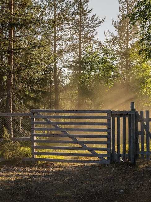 Journeying into Sápmi: Must-See Destinations and Cultural Experiences