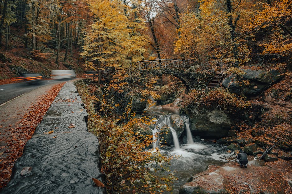 Discovering the Flavors of Luxembourg: A Culinary Journey through Europe's Gastronomic Wonderland