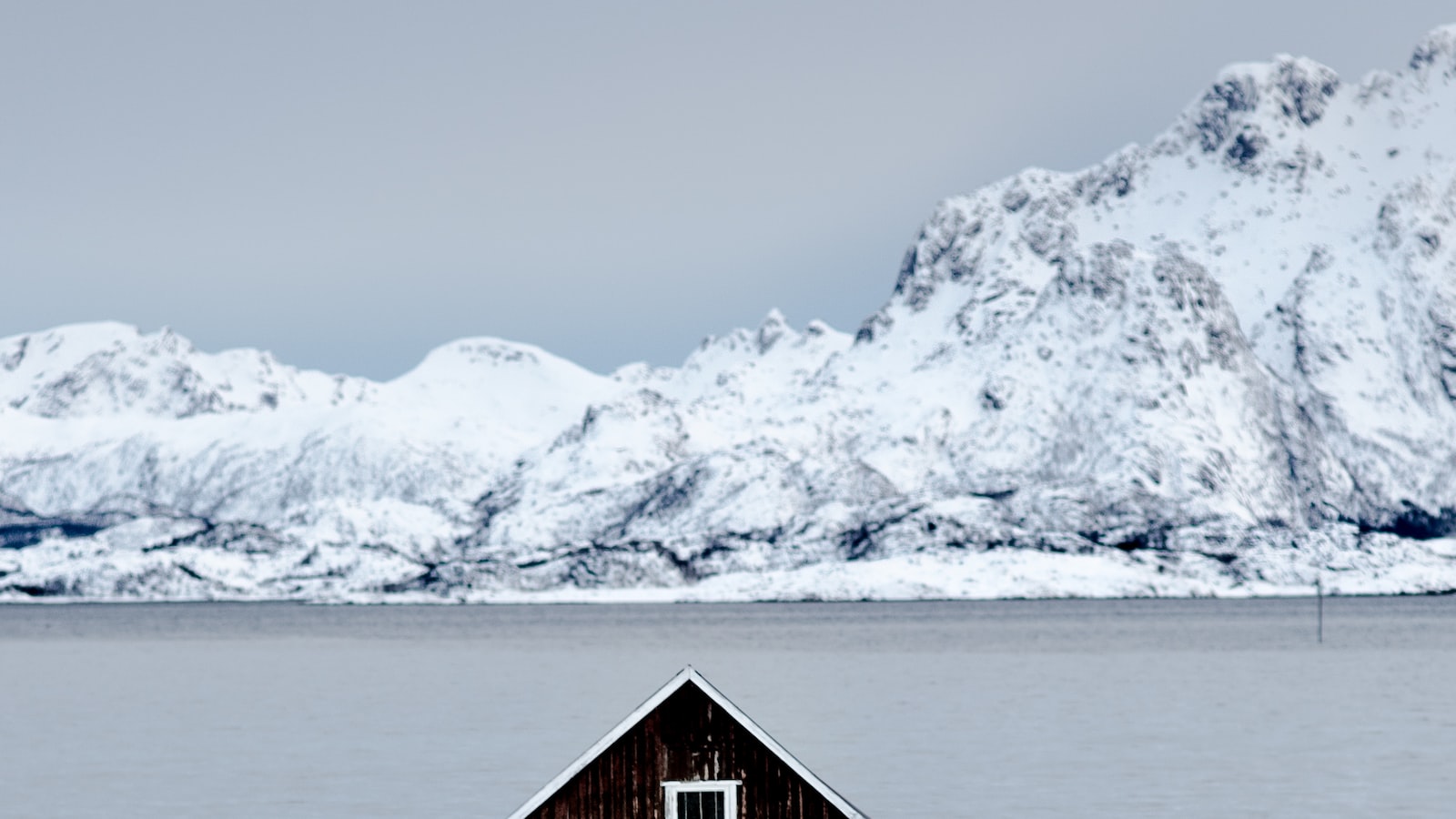 Wandering through the Arctic Wilderness: Discovering Finland's Abundant Wildlife